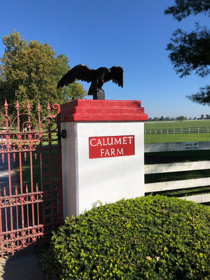Calumet Farm Silks - Auction Ended