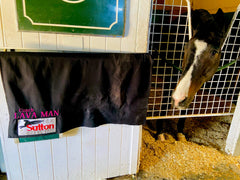 LAVA MAN Saddle Blanket - Auction Ended